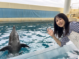 ７月２０日放送分〜あんにゅさん、えのすいのイルカに会ってきました！
