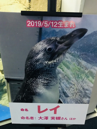 ３月５日放送分〜臨時休館のお知らせ
