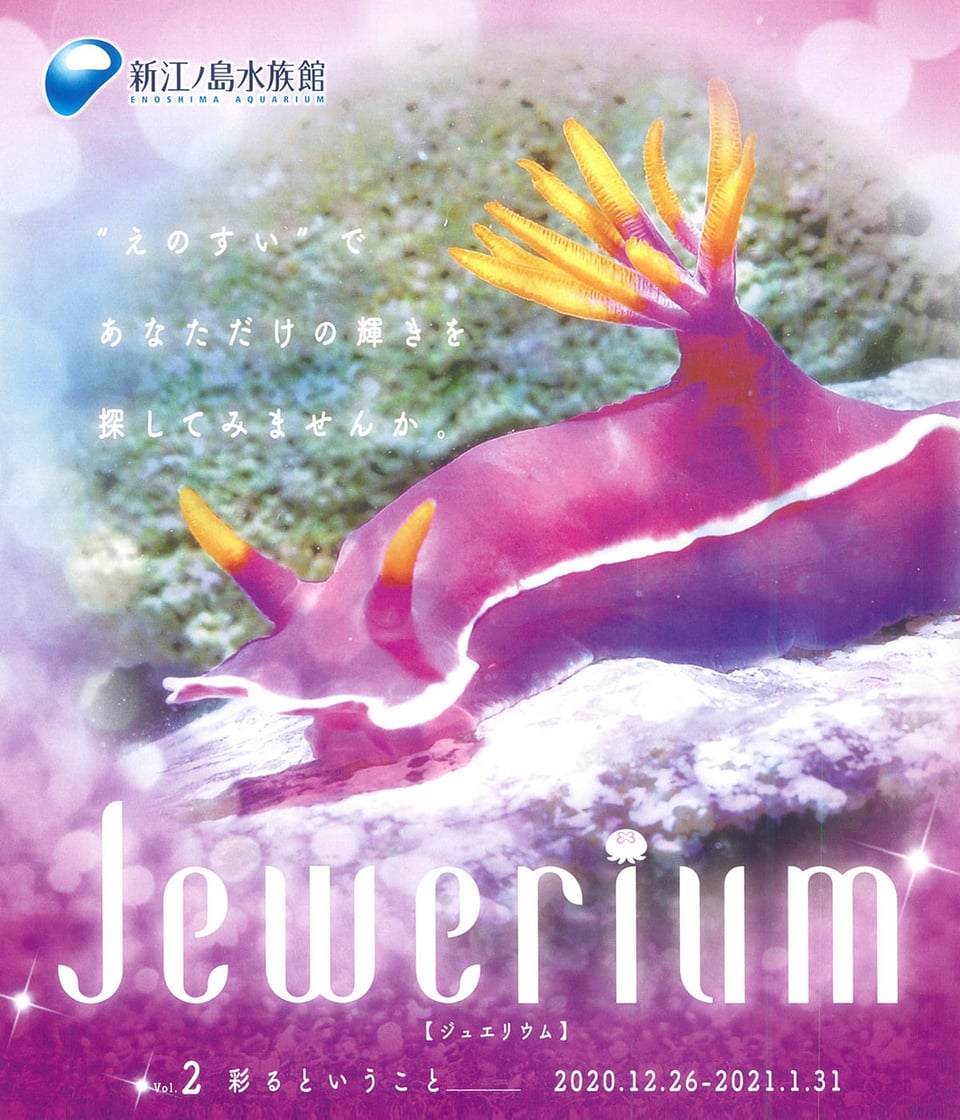 うみのとり 175274.jpg