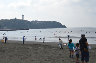 えのすいecoエコアクションが水族館で初認定（11月12日放送）