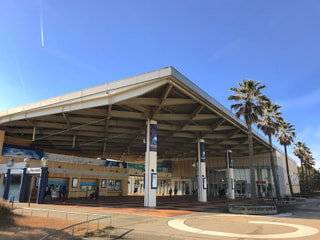 いよいよ３月3日新しい仲間が登場！(2月8日放送）