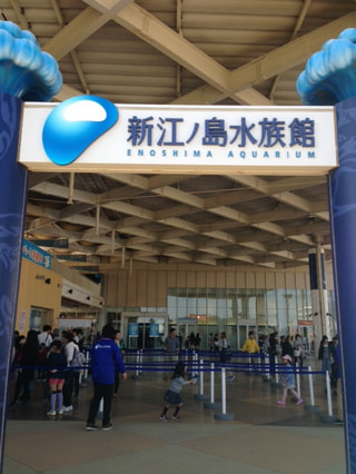 本日オープン！ 水族館の楽しさいっぱいのプログラム