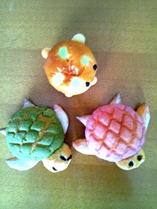 ウミガメの浜辺オープン