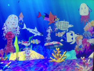 夜の水族館　(7月23日放送）