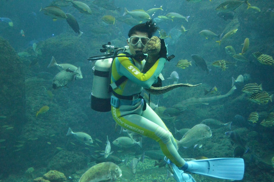 ウツボ_ラックス2（新江ノ島