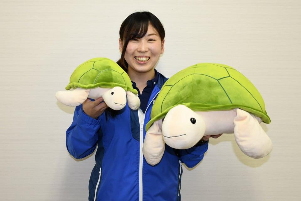 即納 江ノ島水族館 ぬいぐるみ かめ funleucemialinfoma.org