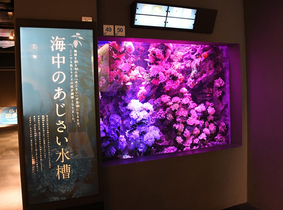 超大特価 こなき様専用【壁面飾り】4点『夜空を彩る花火』『海の世界 クラフト・布製品