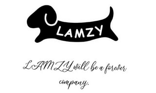 ペットブランド社長に壁を乗り越える秘訣をお伺いしました！