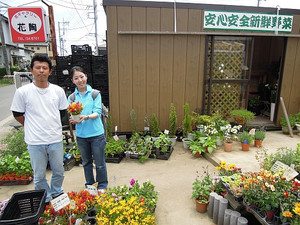 Photo_4