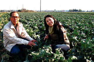 野菜の万能選手 ブロッコリー（２月１２日放送）