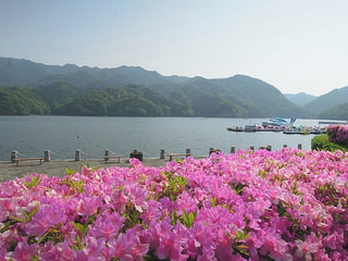 相模湖町 初夏だより（５月２８日放送）