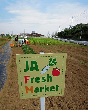 大地の恵み　新じゃが　（７月２日放送）