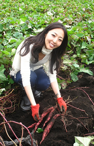 秋の定番　サツマ掘り（１０月３０日放送）