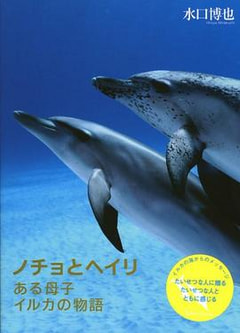 水口博也さんの写真絵本『ノチョとヘイリ　ある母子イルカの物語』
