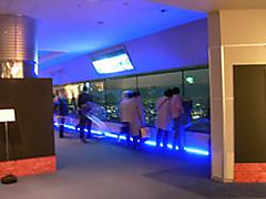 『横浜夜景ミュージアム』開催中！
