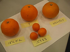 裏フューチャーも・・・はずかしいぃぃぃっ