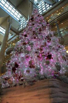 【LANDMARK TOWER presents KALEIDSCAPE】薫堂さんがクリスマスツリーを撮影！