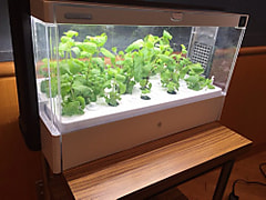 水耕栽培機「Green Farm」