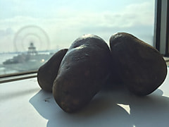 ２年熟成ジャガイモ