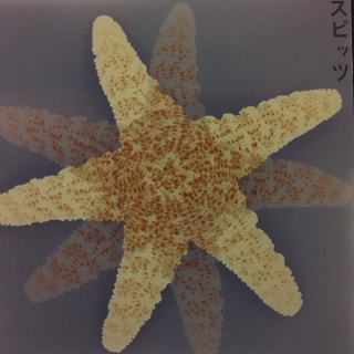 今週は『Spitz特集』！！