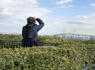 yokohama location snap 03/06/20