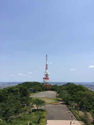 Image1