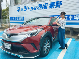 丹沢遠山茶　新茶の季節です