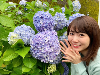 アネスト岩田ターンパイク箱根