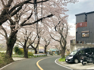 最終回、湘南平より。