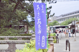 梅雨時の花といえば！