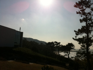 Hayama