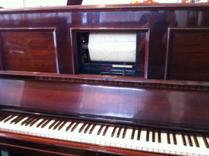 Photo_2