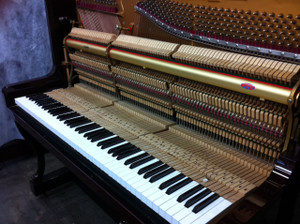 Photo_4