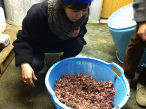 Photo_6