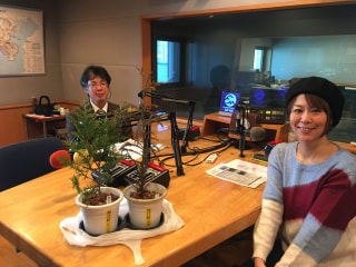 今年の花粉の飛散量は…？