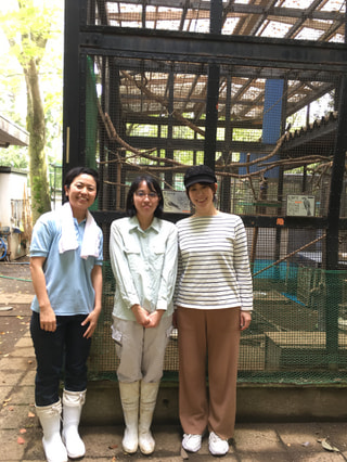 野生動物たちを救いたい～救護現場最前線～