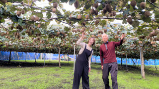 秋の味覚！相模のキウイフルーツ。