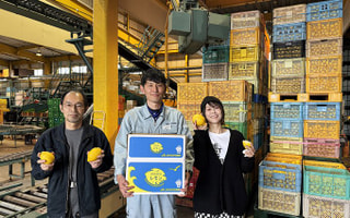 「今だ、レモン感が必要だ」湘南潮彩レモン🍋