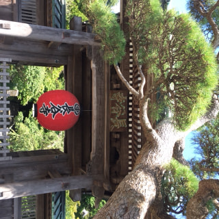 鎌倉『長谷寺』①