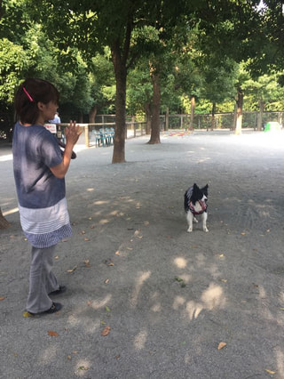 ドッグフォレスト湘南 さん