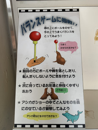 油壺マリンパーク②(公式)