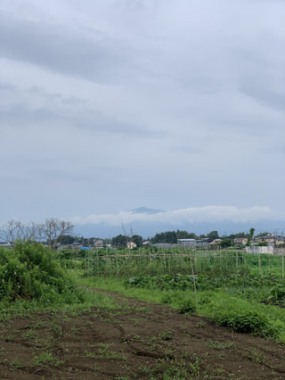 茅ヶ崎：ちがさき牛齋藤牧場①(公式)