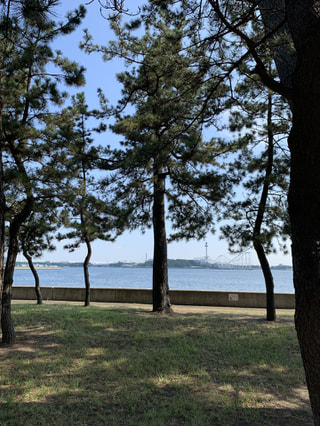 横浜市金沢区：野島公園(公式)