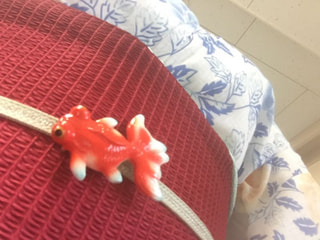 さて！準備完了♪