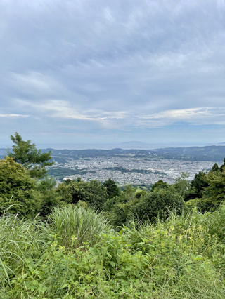 【秦野：ヤビツ峠 菜の花台展望台】DJ帝