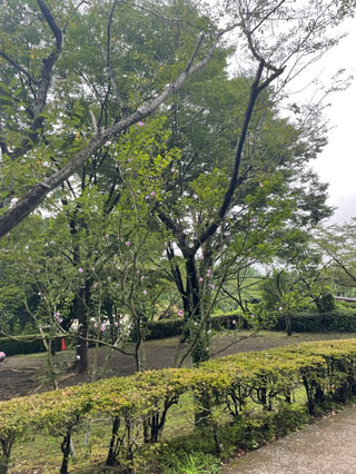横浜市立金沢動物園byくるみん