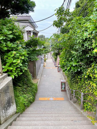 江ノ島〜紀の国屋本店