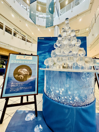 『テラスモール湘南にて