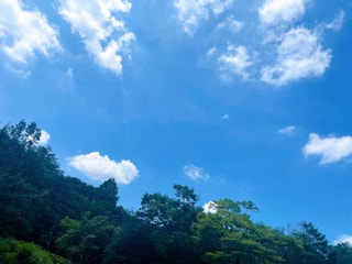 かわさき宙と緑の科学館　byくるみん