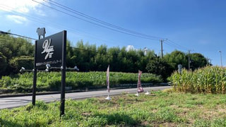 Gelateria Vega byくるみん